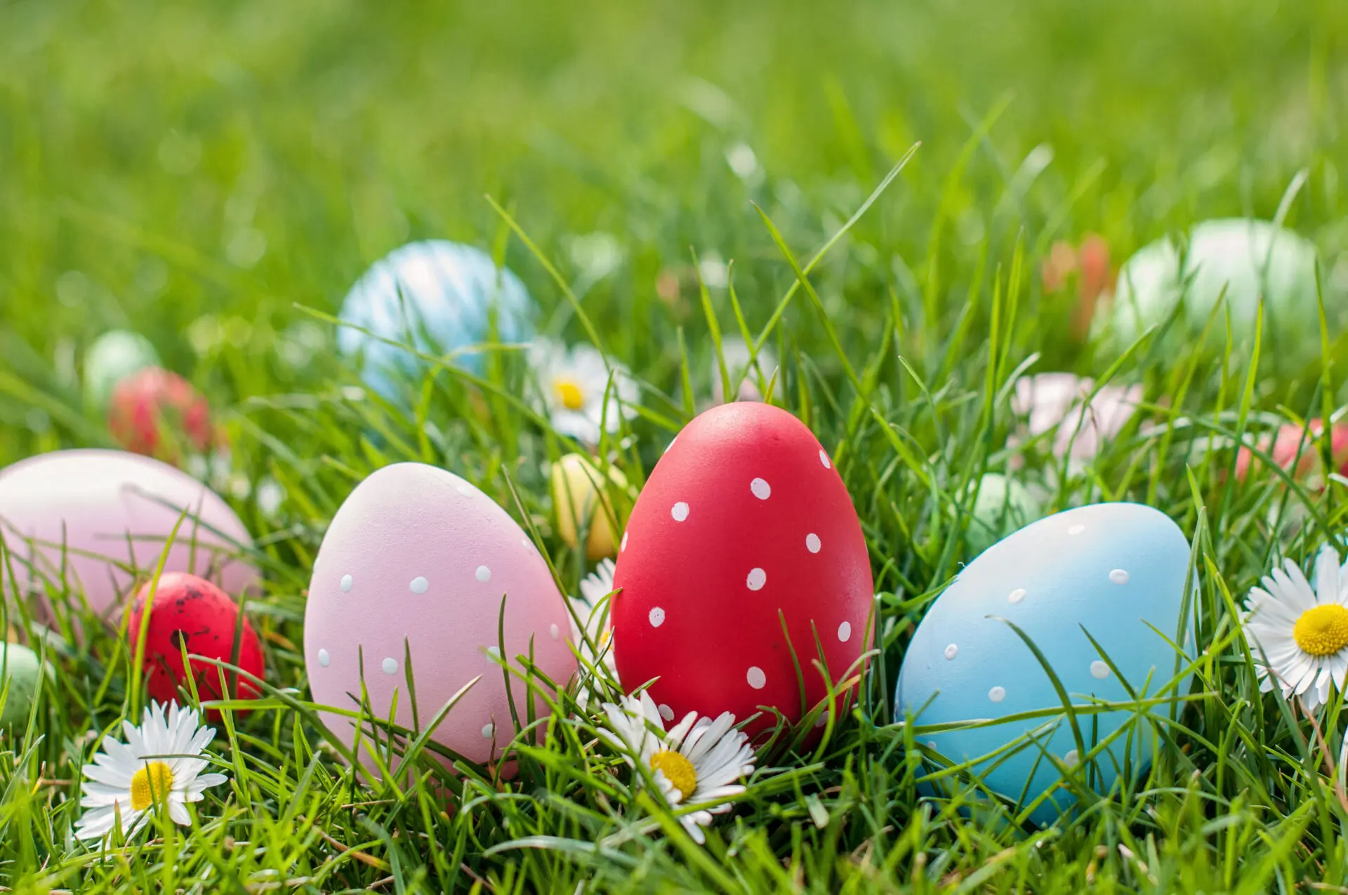 Easter eggs in grass