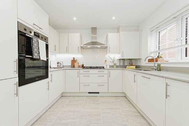 2 - Shellstock Kitchen